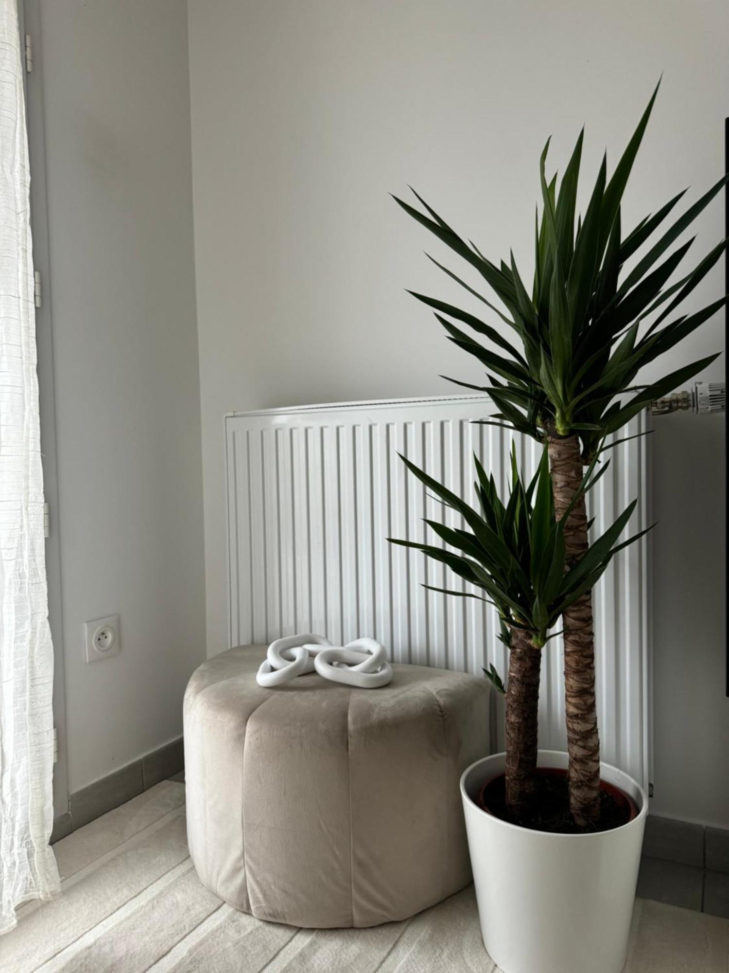 Superbe Appartement - Near Paris Корбей-Ессонн Екстер'єр фото